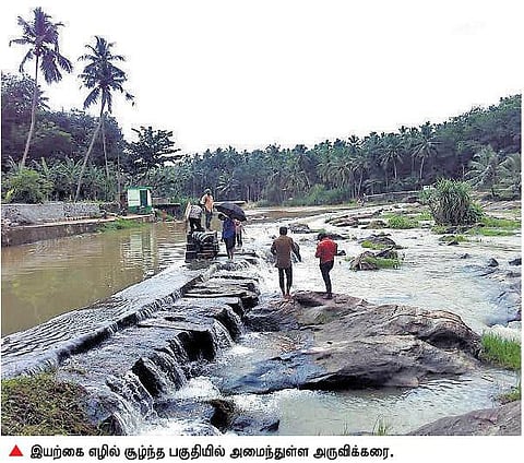 திற்பரப்பு அருகில் அழகு மிளிரும் அருவிக்கரை﻿: சுற்றுலாவை மேம்படுத்த நடவடிக்கை தேவை﻿