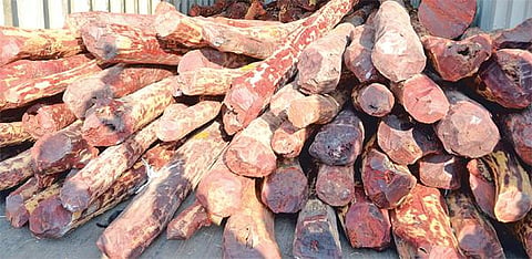செம்மரக் கடத்தல் வழக்கு﻿: சினிமா பாணியில் வில்லனாக மாறிய டிஎஸ்பி﻿ - வழக்கில் மூன்றாவது நபராக சேர்ப்பு﻿