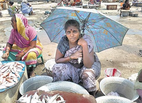 குடிநீர், கழிப்பிடம், சந்தை மேடை என﻿ அடிப்படை வசதியின்றி காசிமேடு மீன்பிடி துறைமுகம்: வெயிலில் கருவாடாகும் வியாபாரிகள்