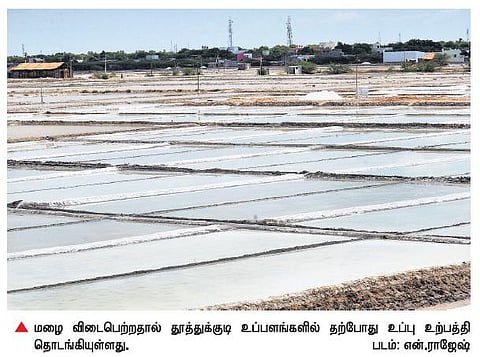உப்பு தொழிலுக்கு உயிர்கொடுக்குமா தென்மேற்கு பருவக்காற்று? - உற்பத்தியாளர்கள் மிகுந்த எதிர்பார்ப்பு﻿