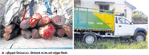 செம்மரக் கட்டை கடத்தலுக்கு பயன்படுத்திய வேன்கள் பறிமுதல்﻿: தலைமறைவான டிஎஸ்பியை தேடும் பணி தீவிரம்﻿