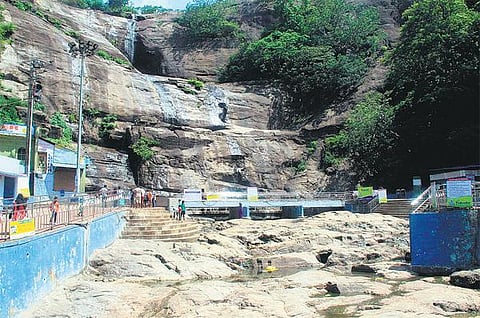 சீஸன் அறிகுறியே இல்லை﻿: பருவமழை தாமதத்தால் தண்ணீரின்றி வறண்டது குற்றாலம் - வியாபாரிகள், சுற்றுலாப் பயணிகள் ஏமாற்றம்﻿