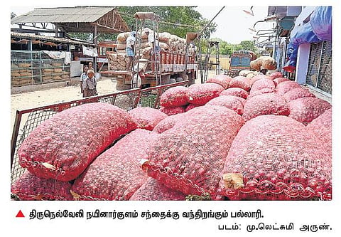 புனேயில் இருந்து நெல்லைக்கு வரும் பல்லாரி﻿: உள்ளூரில் சாகுபடி இல்லாததால் விலையும் அதிகம்﻿