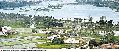 ஒரு நதியின் வாக்குமூலம்: பாம்புபோல் வளைந்து செல்லும் காளிங்கராயன்!