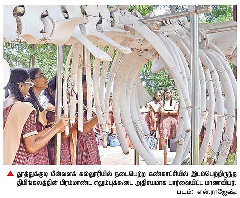 மீன்வள கல்லூரியை பார்வையிட்டு அதிசயித்த மாணவ, மாணவியர்﻿