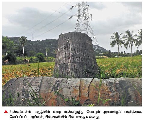 தருமபுரியில் உயர் மின்னழுத்த பாதை அமைக்க வெட்டிய மரங்களுக்கு இழப்பீடு வழங்கவில்லை﻿: விவசாயிகள் வேதனை﻿