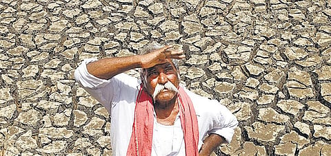 ஏரின்றி அமையாது உலகு: பொருளாதார நிபுணர்களால்  மழையைக் கொண்டுவர முடியுமா?﻿