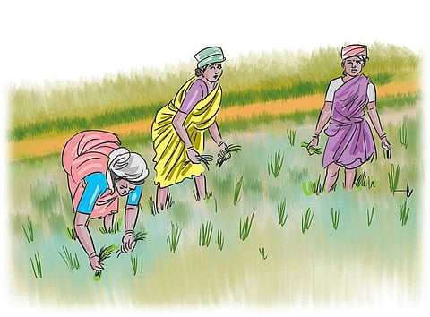 ஏரின்றி அமையாது உலகு: உயிர்ம வேளாண்மைக்குப் புத்துயிர் கிடைக்குமா?﻿