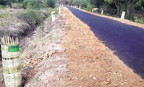 மக்களவை உறுப்பினர்கள் பாணியில்﻿ கிராமத்தை தத்தெடுத்த இளைஞர்கள்﻿
