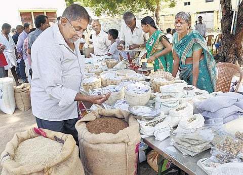 கடலை மிட்டாயோடு காணாமல் போனவை﻿: உண்மையை உணர்த்திய இயற்கைத் திருவிழா﻿