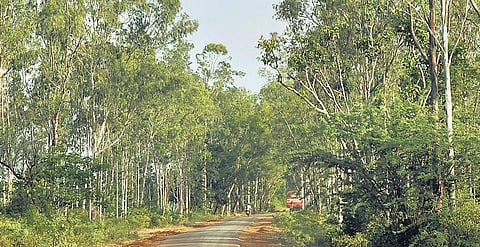 பாலாறு: நிலத்துக்குள் பாயும் ஆறு