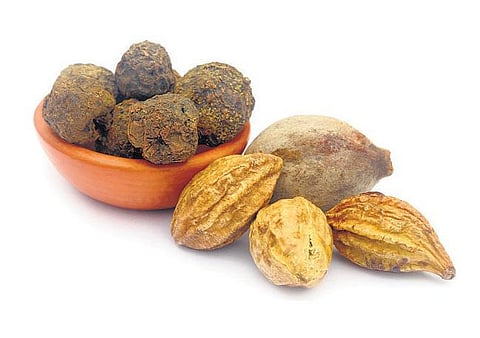 அற்புத ஆயுர்வேத மருந்து﻿