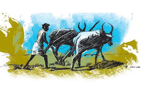 ஏரின்றி அமையாது உலகு: கூட்டிக் கழித்தால் சரியாக வருகிறதா?﻿