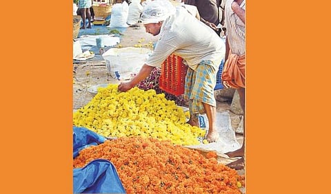 ஓணம் பண்டிகையின் முக்கிய நிகழ்வான﻿ அத்தப்பூ கோலமிடுதல் தொடக்கம்﻿: தோவாளை சந்தையில் 30 ஆயிரம் கிலோ பூக்கள் விற்பனை﻿