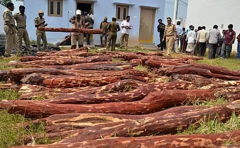 புத்தூரில் ரூ.1 கோடி செம்மரம் பறிமுதல்: தமிழக கூலித் தொழிலாளர்கள் 30 பேர் கைது﻿