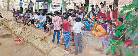 15 கோடி ஆண்டுகள் பழமையான அரியவகை கல்மரங்கள் போதிய பராமரிப்பின்றி சிதிலம்: பாதுகாக்க கோரிக்கை﻿