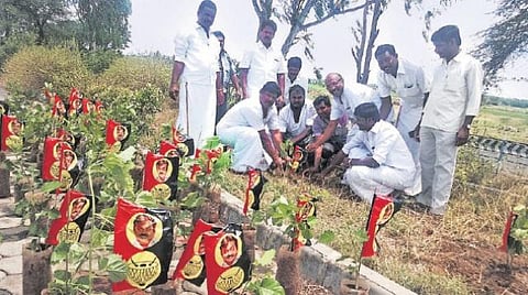 தேமுதிக சார்பில் ராமாக்காள் ஏரிக்கரையில் மரக்கன்றுகள் நடவு﻿