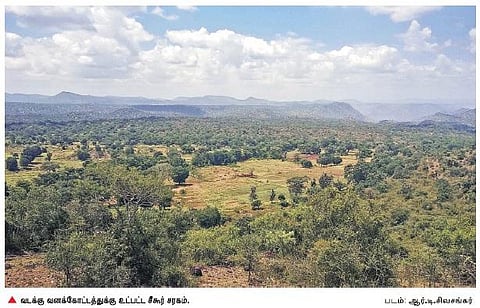 முதுமலை புலிகள் காப்பகம் இருமடங்காக விரிவடைகிறது: 367 சதுர கி.மீட்டர் வனப்பரப்பு இணைப்பு﻿