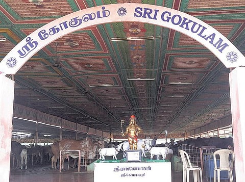 மனமுருகி இறைவன் நாமத்தைச் சொன்னால் போதும்﻿: விட்டல் தாஸ் மகராஜ் நேர்காணல்