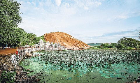 இயற்கை சார்ந்த வாழ்க்கையே,  அறம் சார்ந்த வாழ்க்கை!- ‘பசுமைநடையின் 50-வது நிகழ்ச்சி﻿
