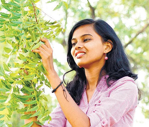 சீக்கிரம் மரம் வளர்ப்பது எப்படி?﻿