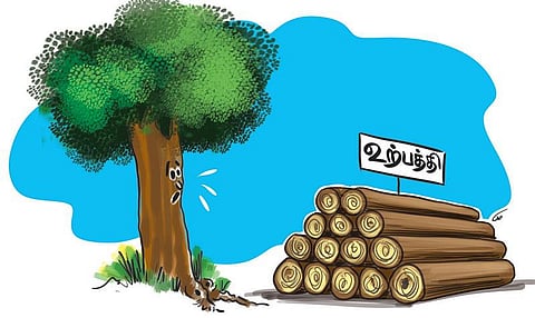 ஏரின்றி அமையாது உலகு: எது உண்மை வளர்ச்சி?﻿