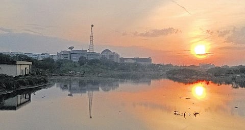 கழிவுநீர் விடப்படும் விவகாரம்﻿: கூவம் ஆறு முழுவதையும் ஆய்வு செய்து அறிக்கை தாக்கல் செய்ய வேண்டும்﻿ - மாசுகட்டுப்பாட்டு வாரியத்துக்கு பசுமை தீர்ப்பாயம் உத்தரவு﻿