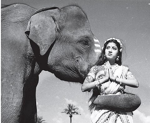 சூப்பர் ஸ்டார்களின் கதாநாயகி!﻿