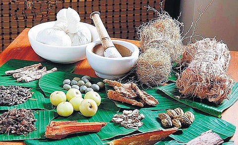 சித்த மருத்துவம் தரும் பட்டயப் படிப்புகள்﻿