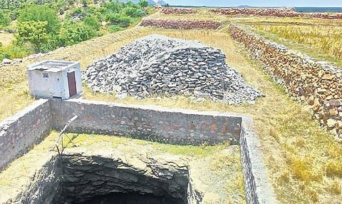 தடுப்பணை போன்ற கட்டமைப்பால் பாறை நிரம்பிய பகுதி பசுமையானது﻿: மழைநீர் சேமிப்பில் புதுமை﻿ - உடுமலை விவசாயி சாதனை﻿