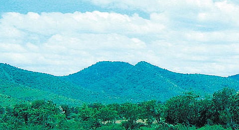 கிழக்கில் விரியும் கிளைகள்: இமயத்துக்கு முந்தைய மலை﻿