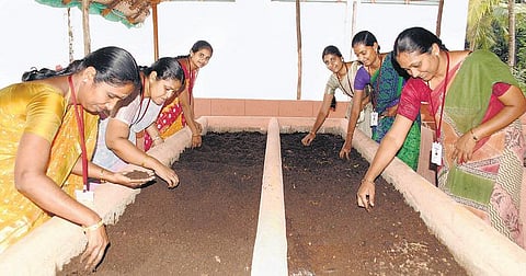 இயற்கைக்கு உரமூட்டும் ஈரோடு கல்லூரி﻿