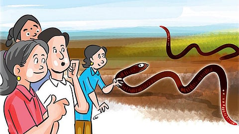 பசுமைப் பள்ளி- 3:  பொறியாளர் மண்புழு