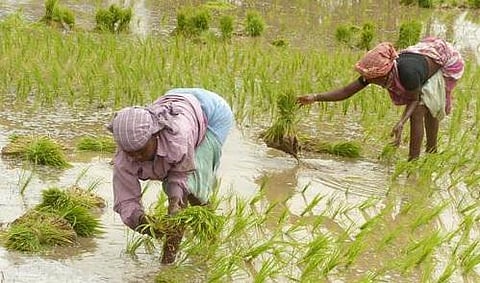மீத்தேன் வாயு திட்டத்துக்கு தமிழக அரசு தடை﻿