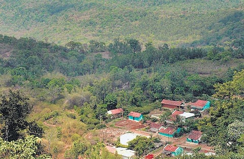 அறிவோம் நம் மொழியை: நிலத்தில் முளைத்த சொற்கள்﻿