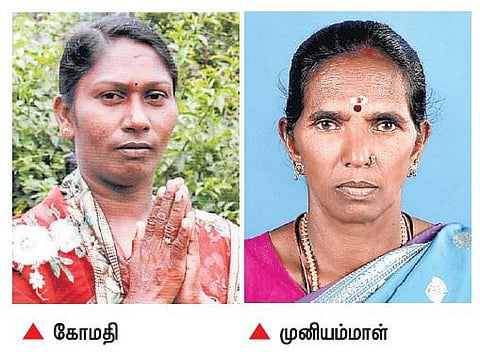 கேரள உள்ளாட்சித் தேர்தலில்﻿ சுயேச்சையாக களமிறங்கிய தமிழக தொழிலாளர்கள்﻿: அரசியல் கட்சியினர் அதிர்ச்சி﻿