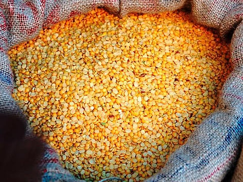 பருப்பு விலை உயர்வுக்கு உற்பத்தி குறித்த பதிவு இல்லாததே காரணம்﻿: விவசாய சங்க கூட்டமைப்பு குற்றச்சாட்டு﻿