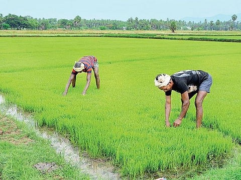 அறிவோம் நம் மொழியை: மண்ணாசை தீர்ந்தால்...﻿﻿