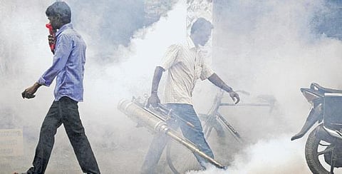 டெங்கு காய்ச்சலை தடுக்க தடுப்பு நடவடிக்கைகள்: சென்னை மாநகராட்சி தகவல்