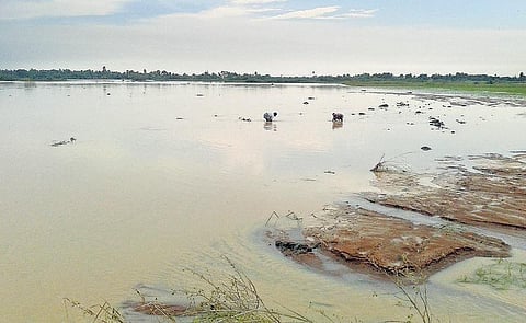 சுரங்க கழிவுகளால் விளைநிலங்கள் பாதிப்பு﻿