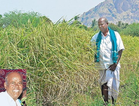முன்னத்தி ஏர் 9: எல்லாம் இயற்கை பார்த்துக் கொள்ளும்﻿