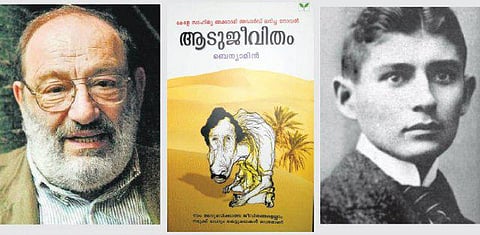 விடுபூக்கள்: தோல்வியாளர்கள் வசீகரமானவர்கள்