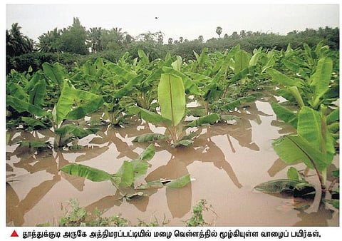 கால்வாய் ஆக்கிரமிப்பே வெள்ளப் பெருக்குக்கு காரணம்﻿: தூத்துக்குடி விவசாயிகள், பொதுமக்கள் குற்றச்சாட்டு﻿