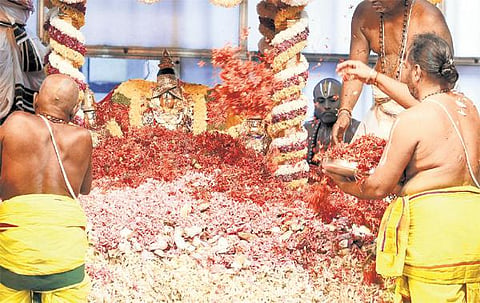 7 டன் மலர்களால் ஏழுமலையானுக்கு புஷ்ப யாகம்﻿