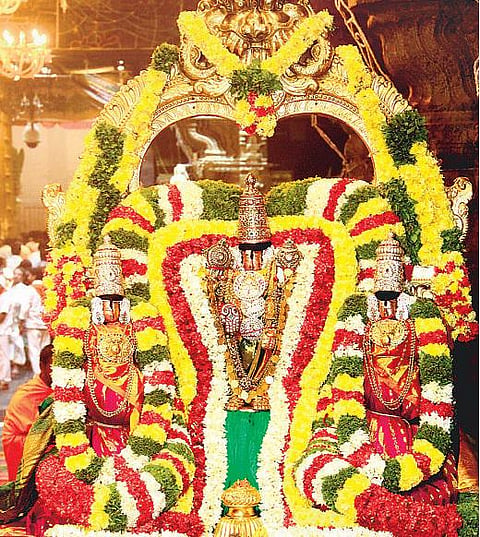 தங்க திருச்சி வாகனத்தில் உக்ர ஸ்ரீநிவாசர் பவனி﻿