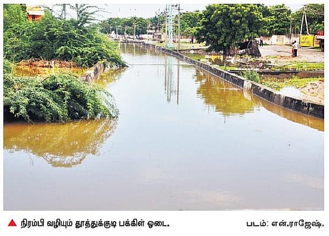 தூத்துக்குடியில் பக்கிள் ஓடை அரசியல்﻿: அதிமுக, திமுக பரஸ்பரம் குற்றச்சாட்டு﻿