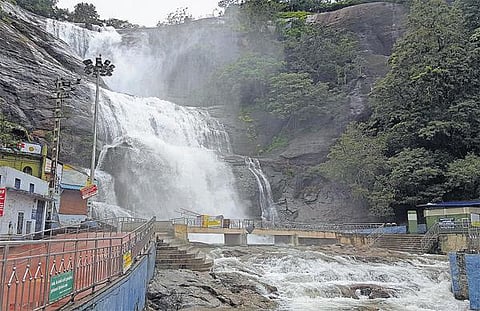 தாமிரபரணியில் கரைபுரளும் வெள்ளம்: தூத்துக்குடியில் பாதிப்புகள் அதிகம்﻿