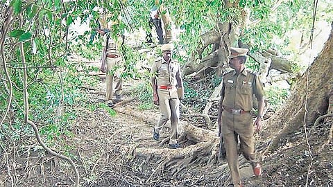 கேரள அட்டப்பாடி வனப் பகுதியில்﻿ நவீன ஆயுதங்களுடன் மாவோயிஸ்ட்கள் பதுங்கல்?﻿ - தேடுதல் வேட்டையில் தமிழக, கேரள போலீஸ்﻿