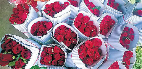 வடகிழக்கு பருவமழையால் ரோஜா மலர்கள் உற்பத்தி பாதிப்பு﻿: ஒரு கொத்து மலர்கள் ரூ.300﻿