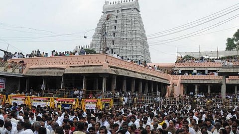 திருவண்ணாமலை அண்ணாமலையார் கோயில் சிவாச்சாரியார்களுக்கு நோட்டீஸ்﻿: ஒரு வாரத்துக்குள் பதிலளிக்க உத்தரவு﻿